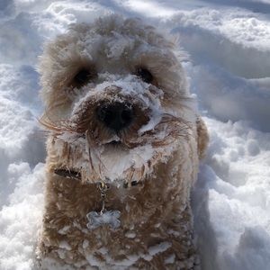 Meet your Posher, Nakeesa